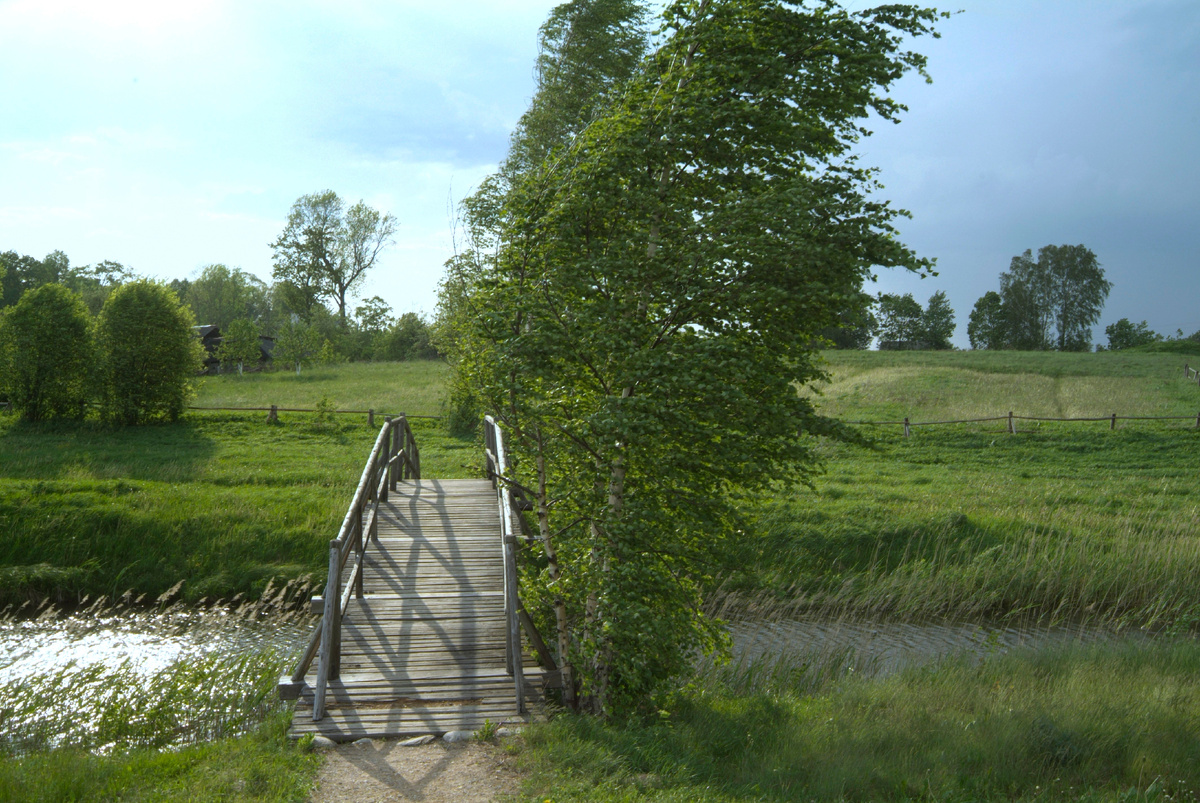 фото:Konstantin Kokoshkin/Russian Look/Globallookpress 