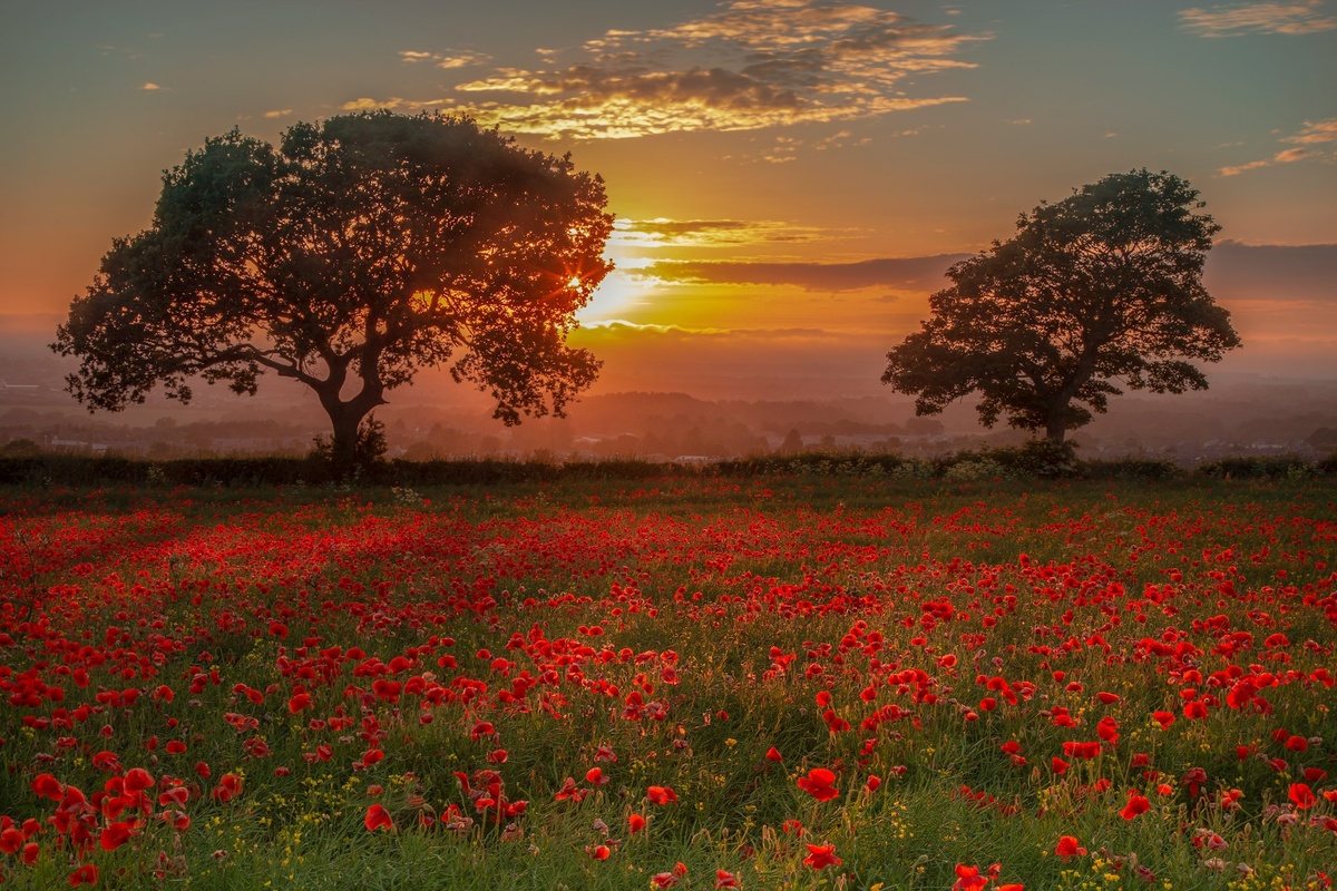    Совет: если у вас ширик, проще всего будет снимать на 35 миллиметрах / Фото: unsplash.com