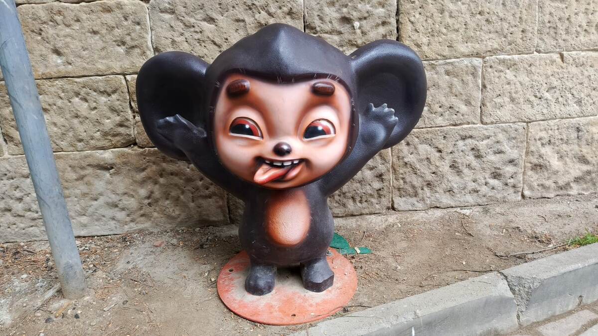 Фото автора