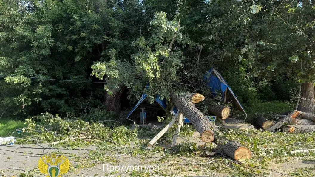    Фото: Прокуратура Новосибирской области