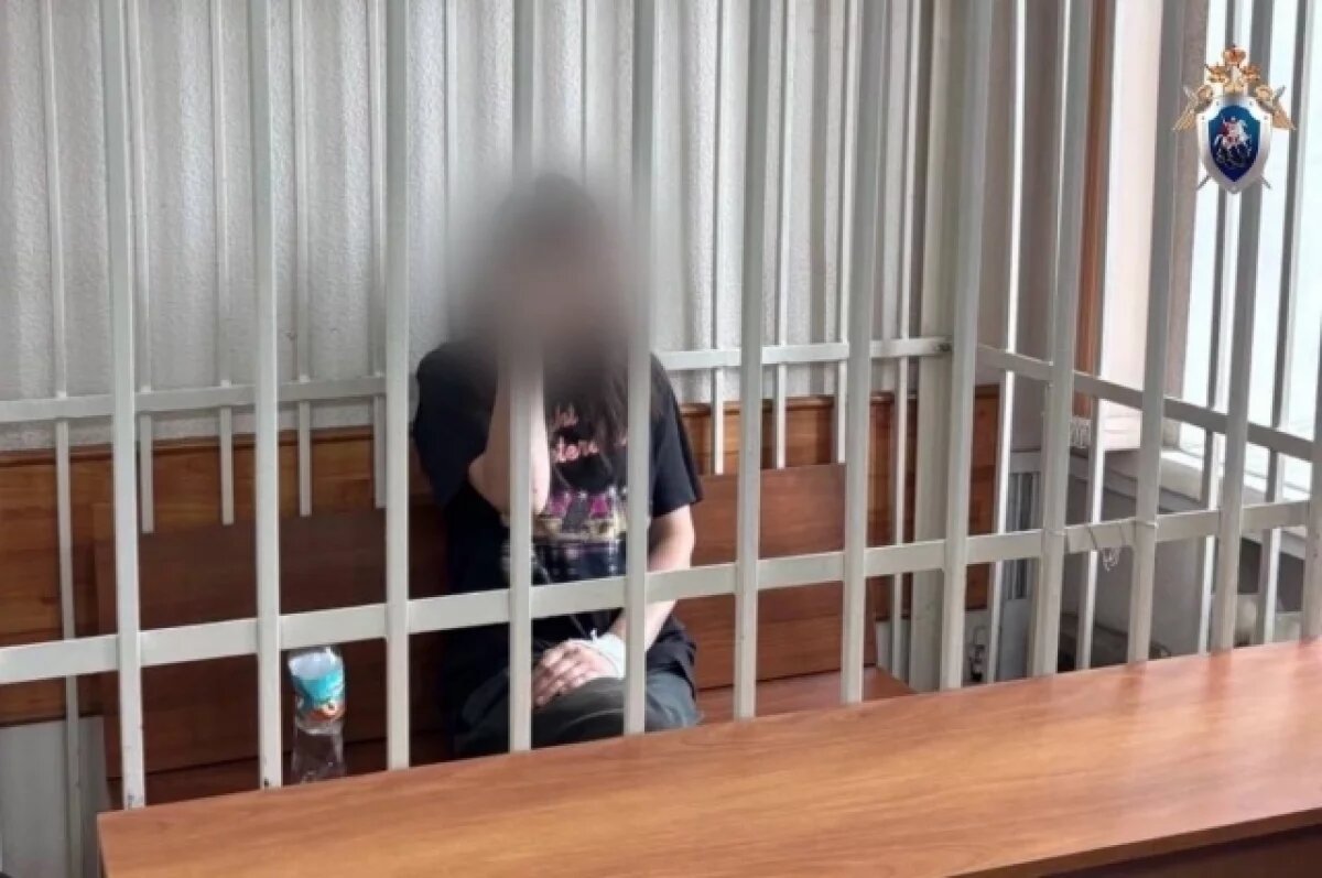    В Красноярске мать, пытавшуюся зарезать 3-летнего сына, отправили в СИЗО