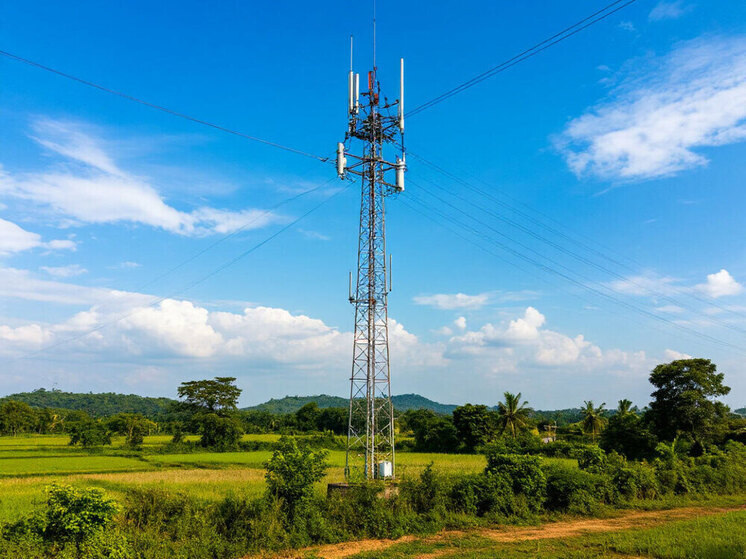     фото Шедеврум