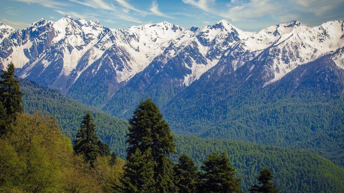    Фото: телеканал «Краснодар»