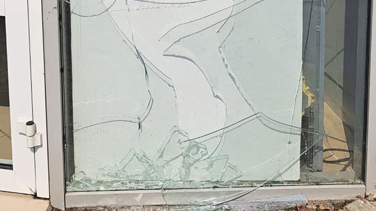    Фото: t.me/rosgvard_krasnodar