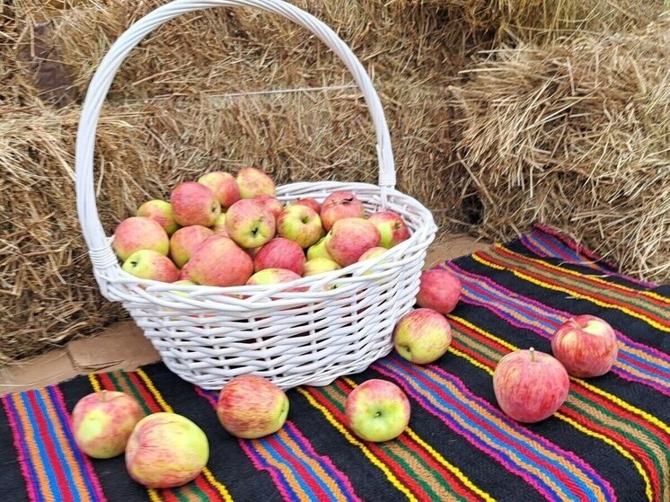     Фото: Михаил Голубев/ТГ