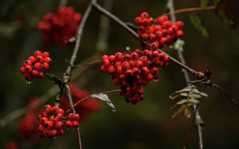     © РИА Новости. Алексей Филиппов