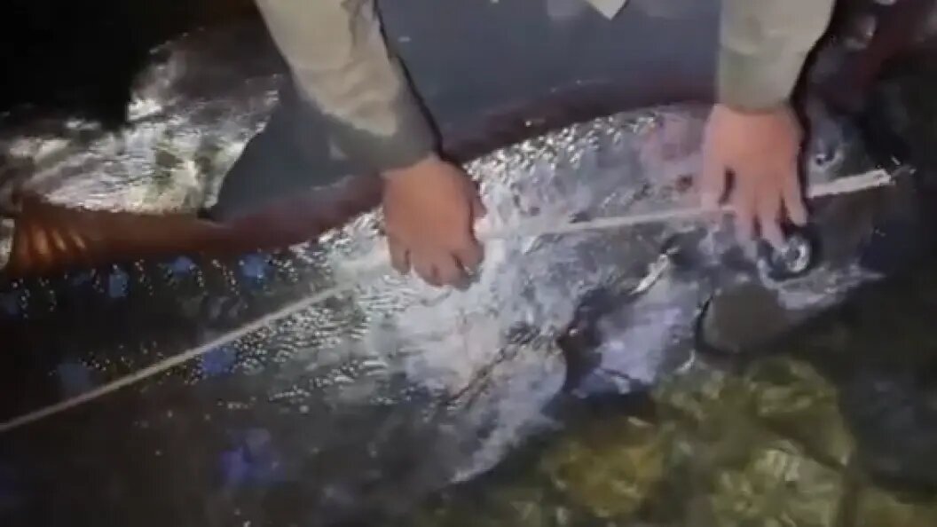    Фото: Need To Know