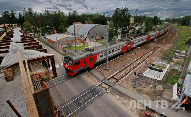    © Анастасия Илюшина для ЛенТВ24