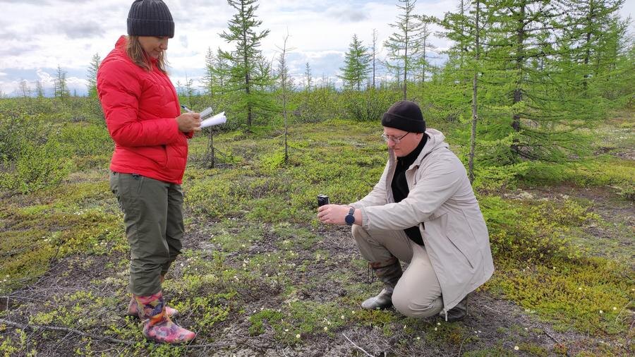 Работа ученых в полевых условиях