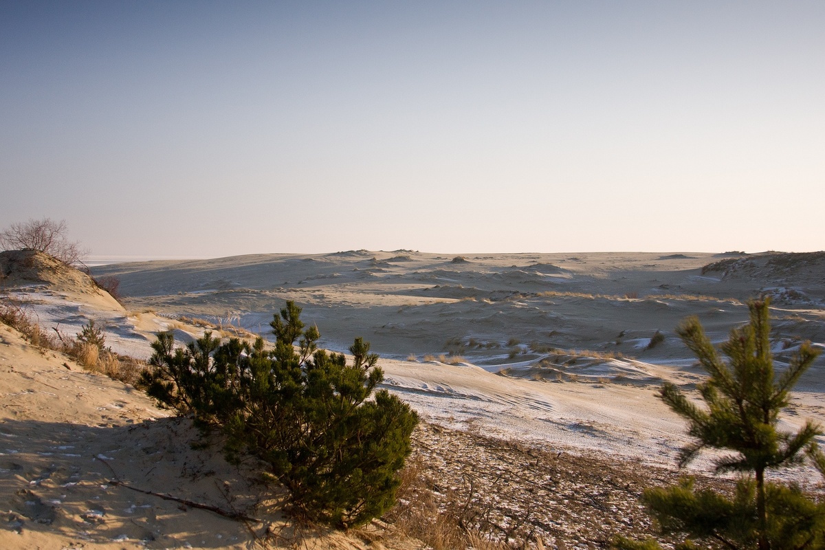 Куршская коса