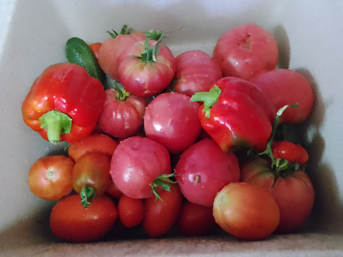 Подсветка другая.