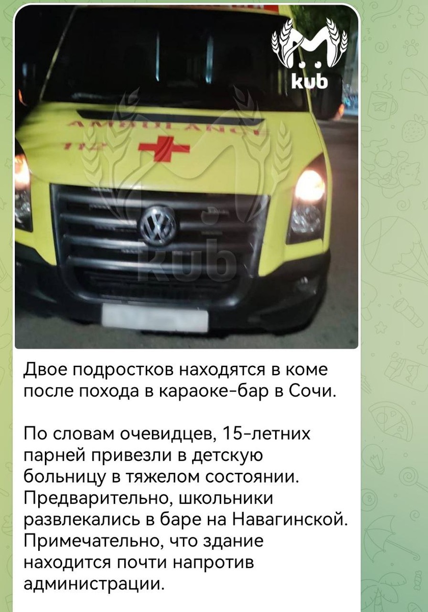    Фото: Telegram/23 МВД
