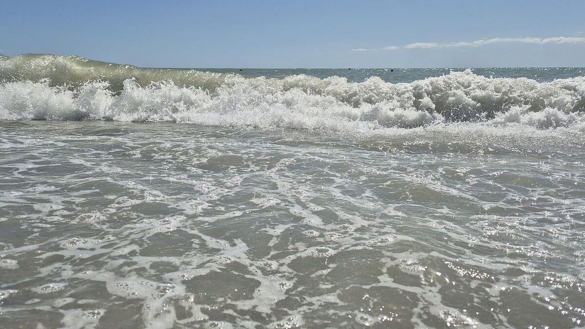    Фото: телеканал «Краснодар»