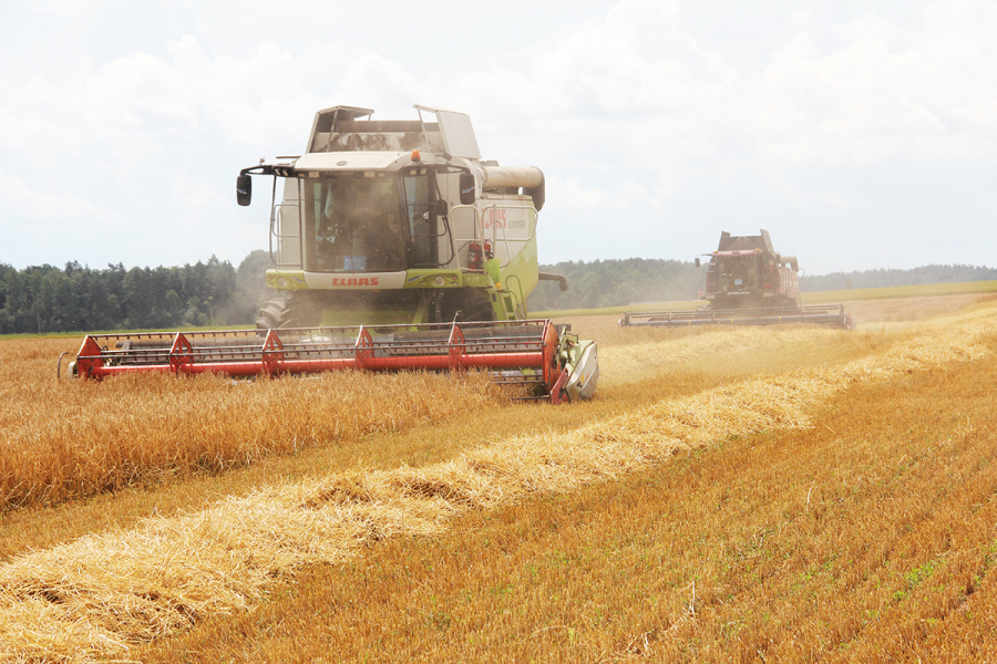     Белорусские аграрии намолотили более 7,6 миллиона тонн зерна