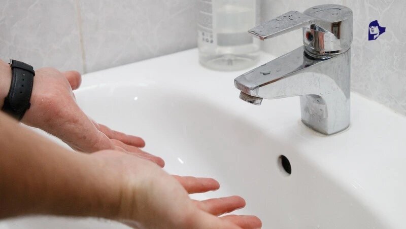      Фото: ИА «Победа26»