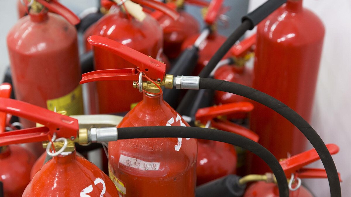    Фото: Aleksey Smyshlyaev/globallookpress.com