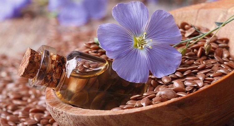    Фото: ФГБУ ЦОК АПК