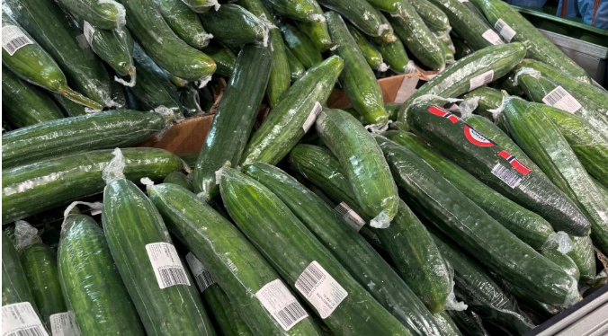 Foto: Une Marvik Hagen / TV 2