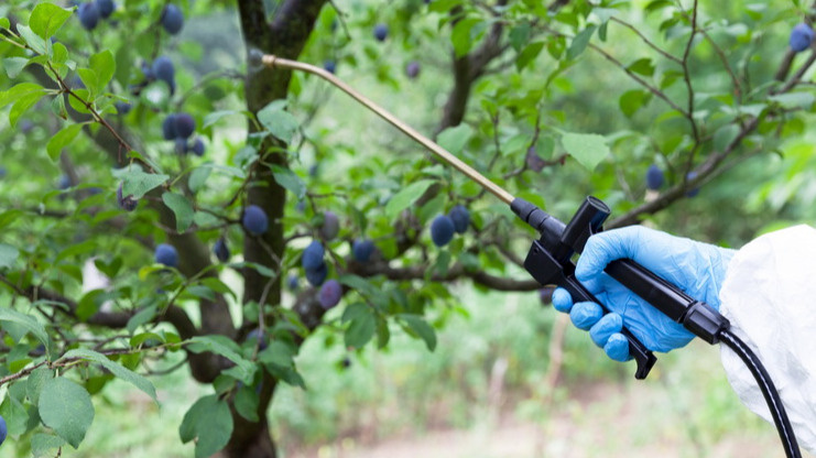 Обработка сада