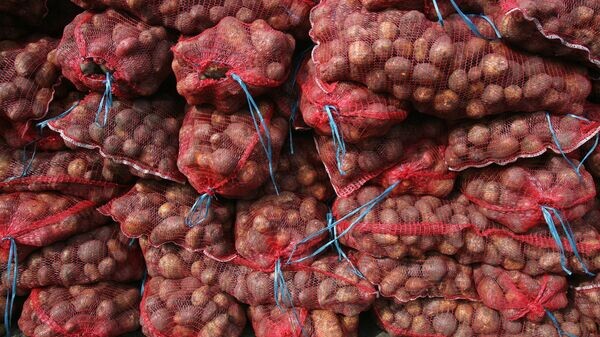    © Sputnik / Александр Кряжев