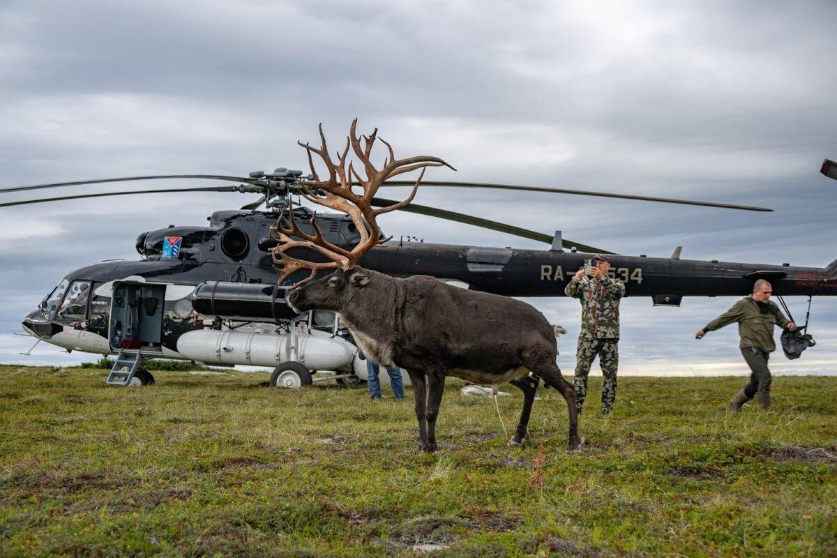 Фото: Денис Беляев