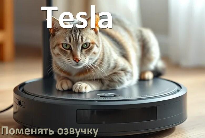 
Как поменять голос робота пылесоса Tesla установить озвучку через телефон Android и iPhone