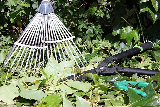 Фото: Лицензия - CC0. Садовый инструмент.