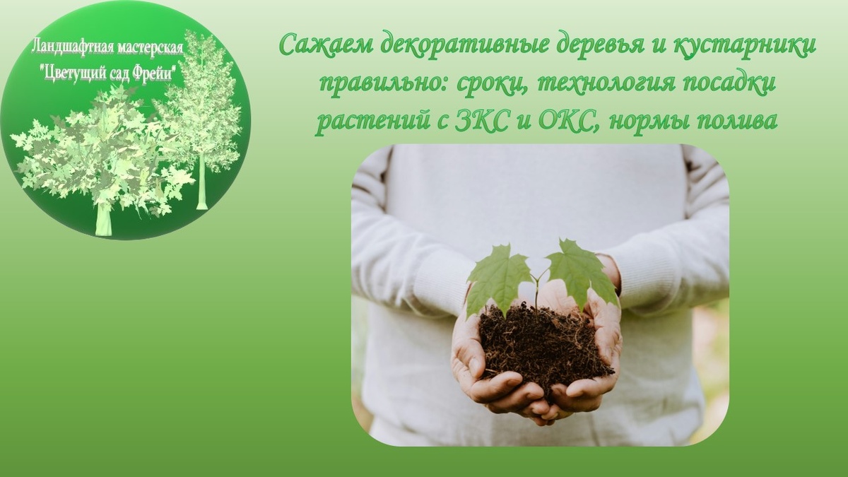 Фото автора с использованием изображения созданным ИИ.