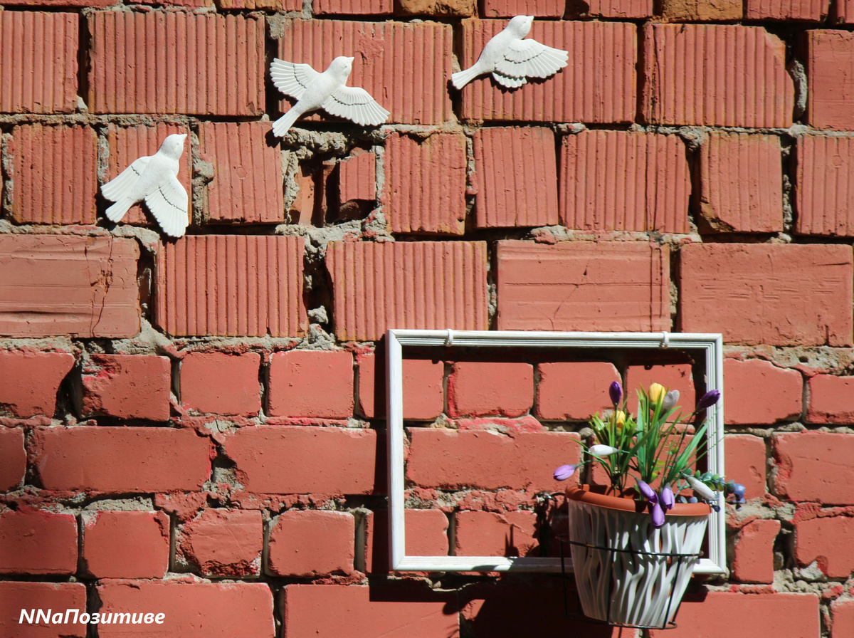 Новая фотозона