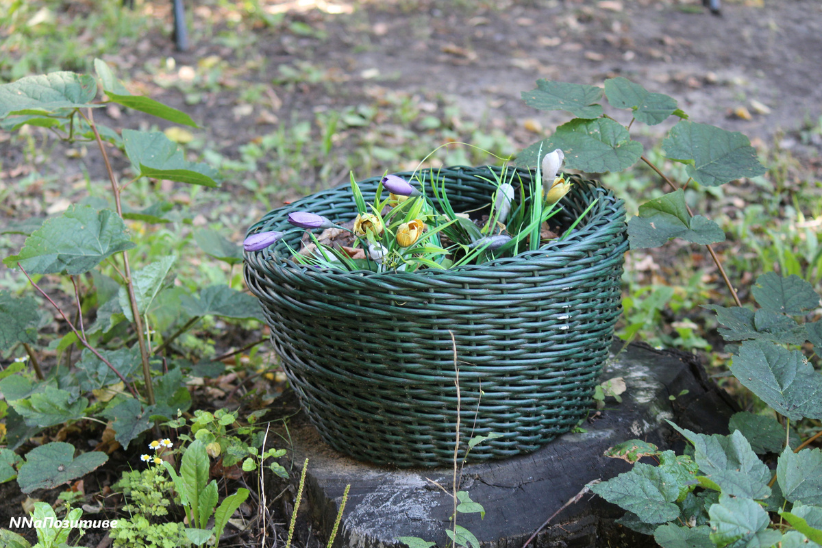 Новая фотозона