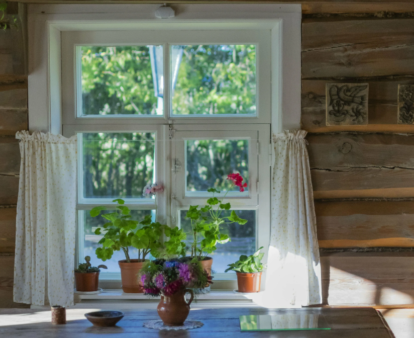 Яндекс картинки