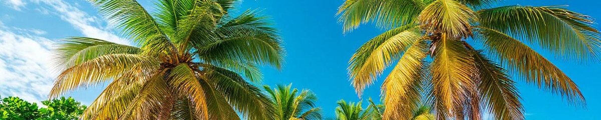    Фото: Шедеврум