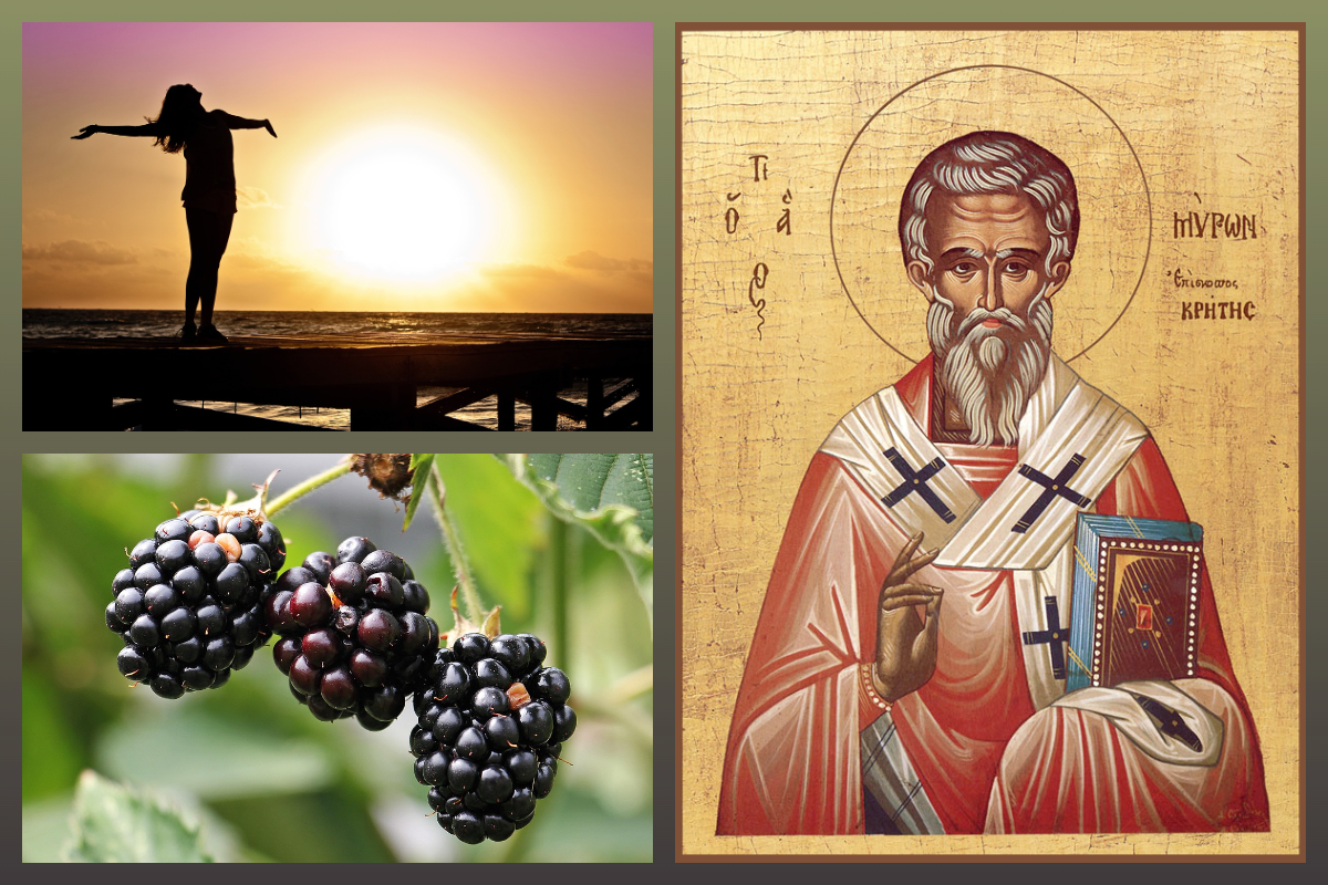 Прп. Мирон Критский, чудотворец/Лето, ежевика/pixabay.com