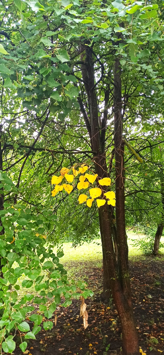 Все фото автора. 