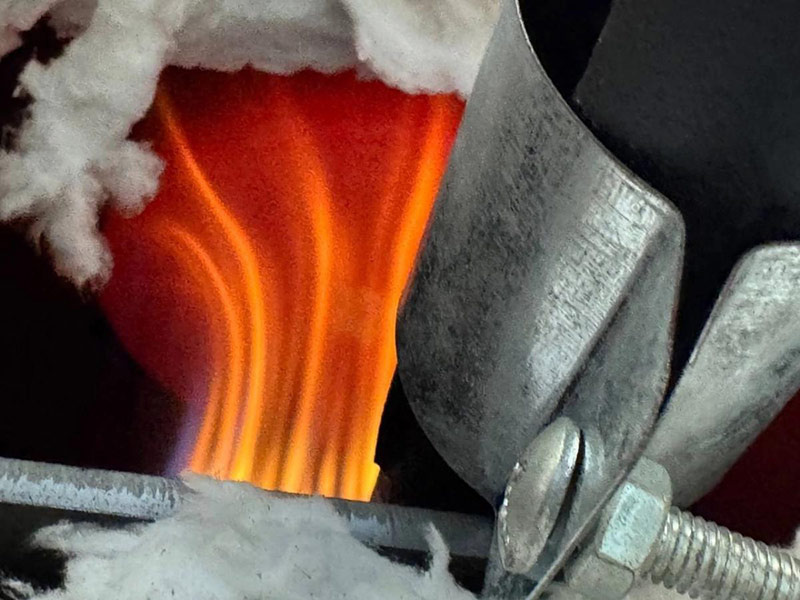 Фото: пресс-служба САФУ