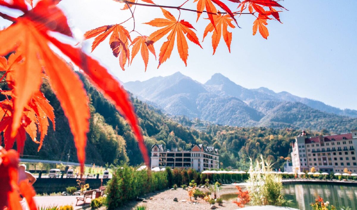 Источник Яндекс.фото 