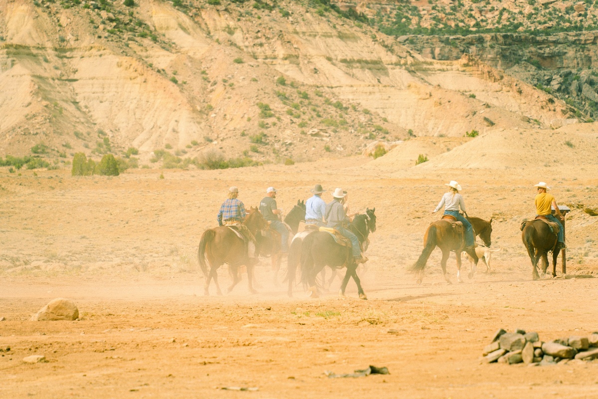 Фото с бесплатного фотостока https://unsplash.com, автор Alex Moliski