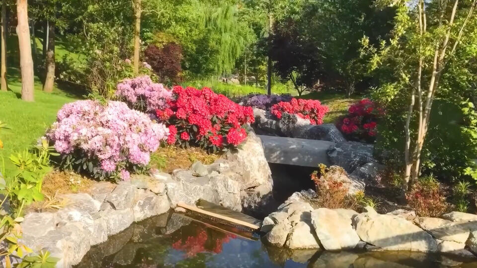 Фото: © Кадр из программы "Невероятно интересные истории", РЕН ТВ