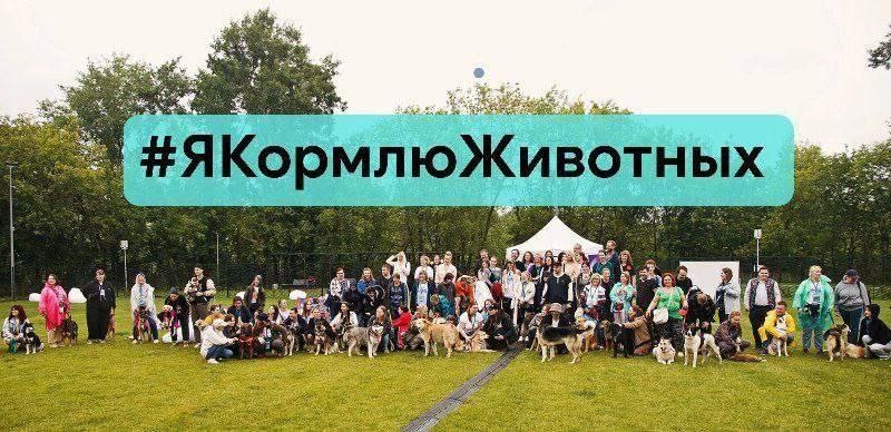 ЗАКОНОПРОЕКТ О ЗАПРЕТЕ КОРМЛЕНИЯ БЕЗДОМНЫХ СОБАК