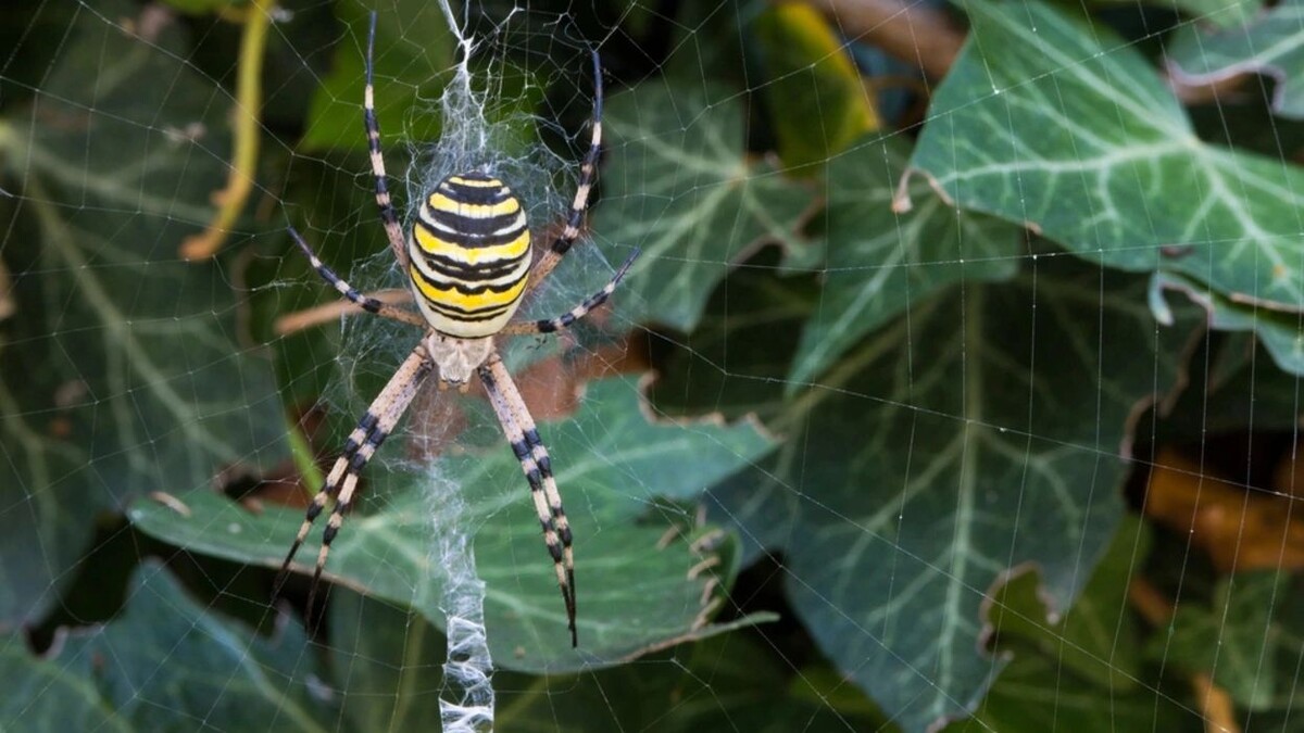    Фото: lucag_g/Shutterstock/Fotodom