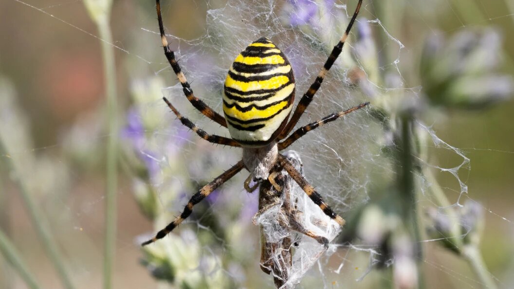    Wolfram Steinberg/Globallookpress