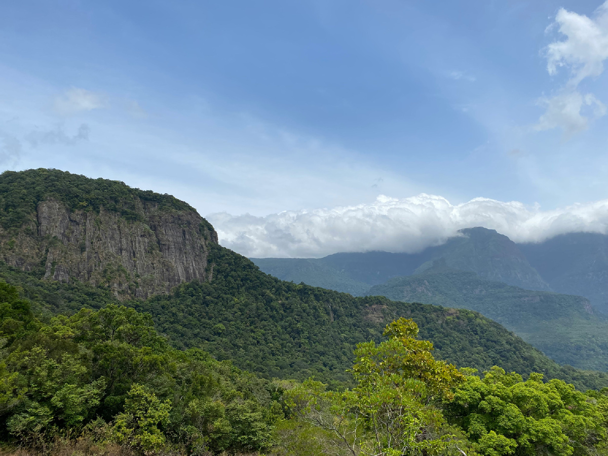 Венесуэла. Photo by Madusha Kalansuriya on Unsplash