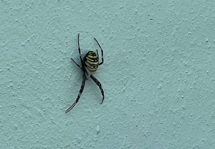     Фото: соцсети