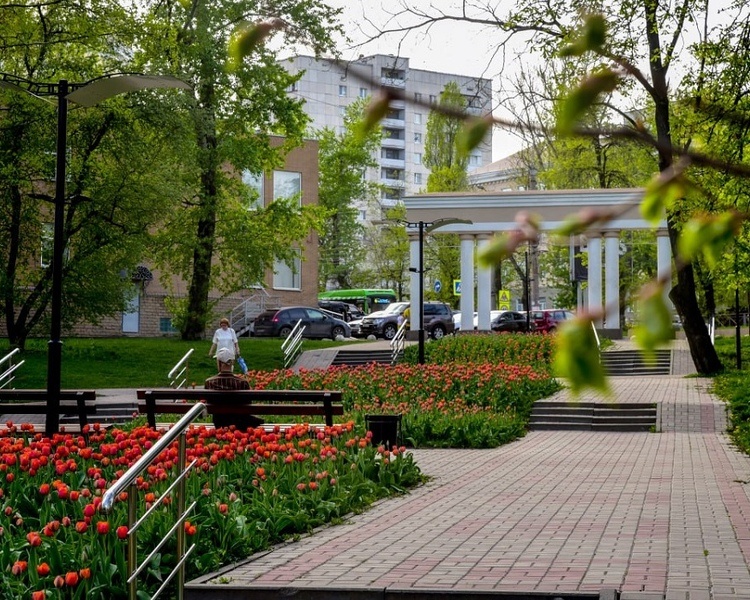     Курянам рассказали, как национальные проекты меняют жизнь людей