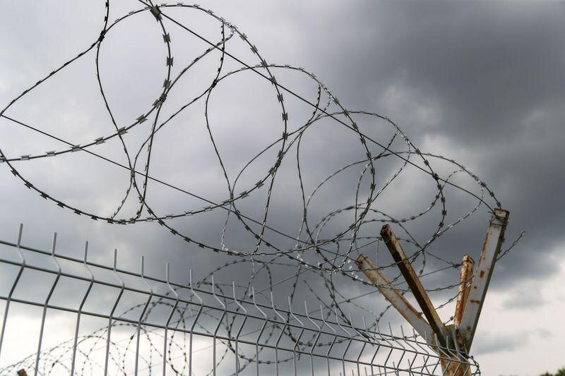    Алексей Белкин/NEWS.ru