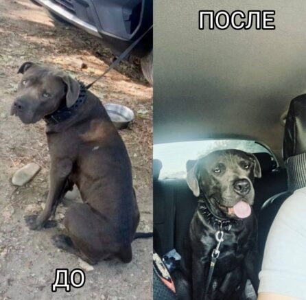    ГУ МВД по Краснодарскому краю