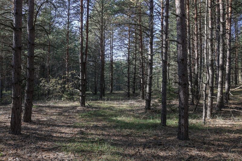    Сергей Булкин/NEWS.ru