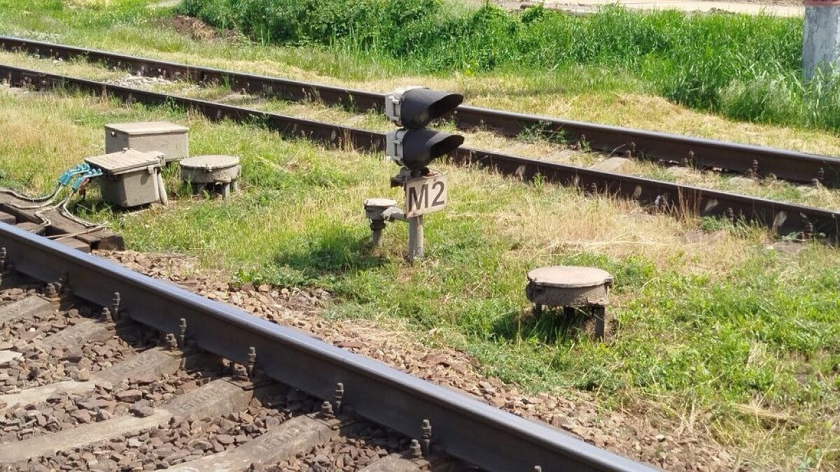    Фото: телеканал «Краснодар»