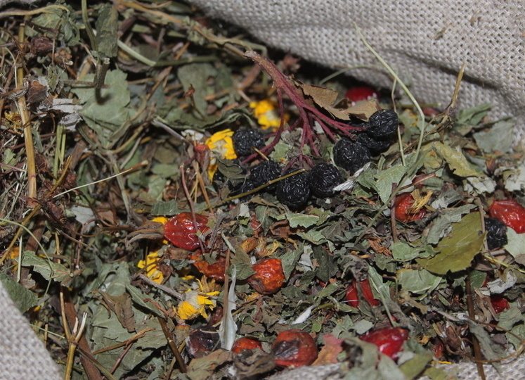 Напитки богов. Русское разнотравье для здоровья