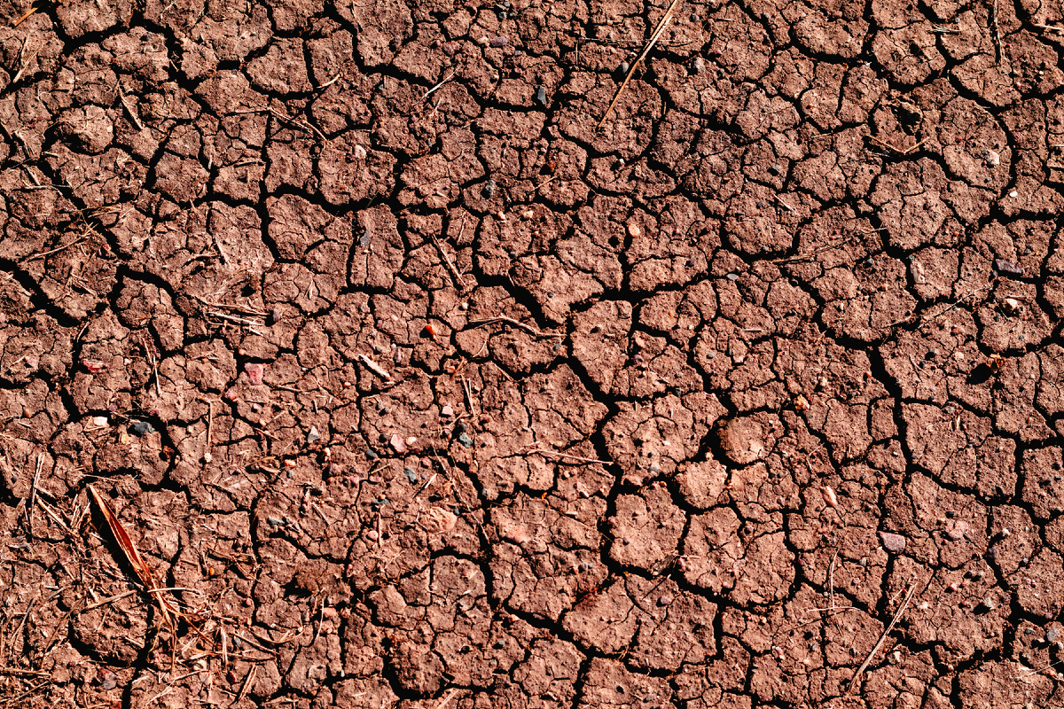 Фото: Лицензия - CC0. Глинистая почва